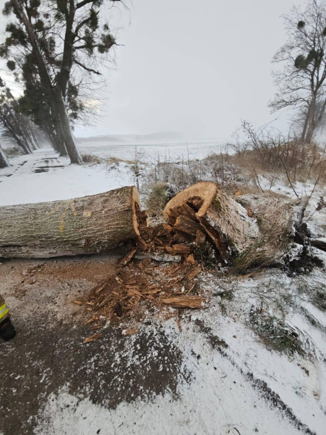 Wichura zniszczyła zabytkową kapliczkę przy sanktuarium