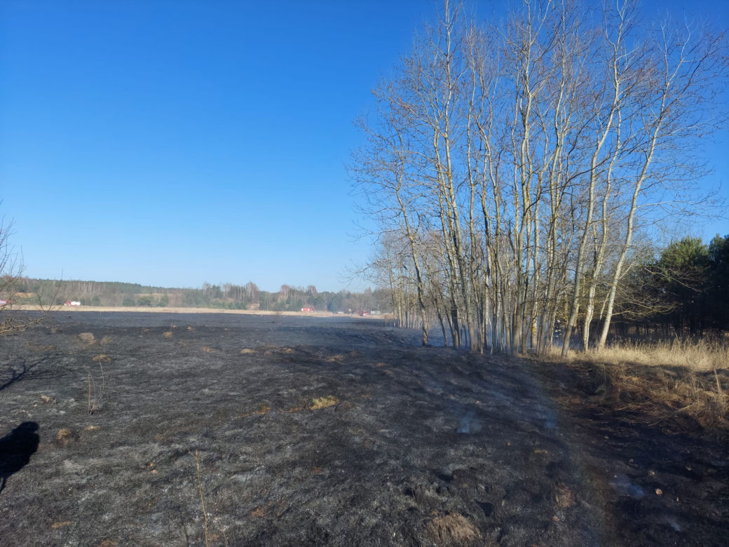 Płonie ponad 10 ha traw w Brodach! Na miejsce leci samolot gaśniczy