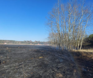 Płonie ponad 10 ha traw w Brodach! Na miejsce leci samolot gaśniczy