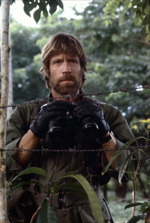 Chuck Norris - role 