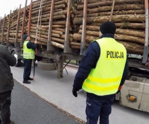 Wzmożone akcje na Opolu. Ciężarówki z nadmiarem drewna przyłapane przez Inspekcję Transportu Drogowego