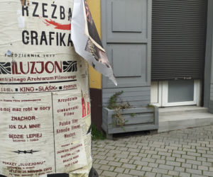Radom planem filmowym Orląt
