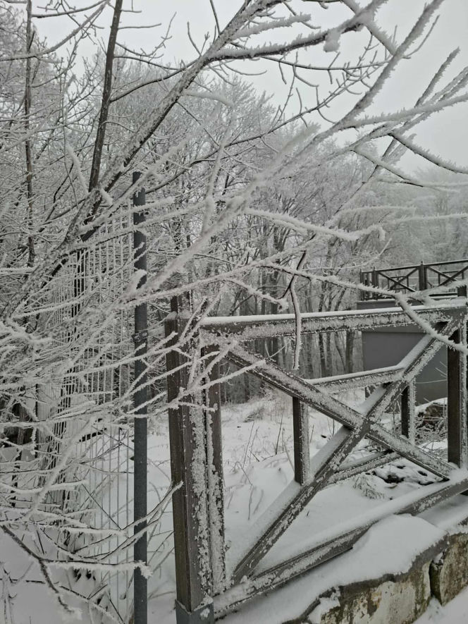 Majestatycznie, zimowo, jak w bajkowej Narnii. Tak Nowy Rok wita Święty Krzyż