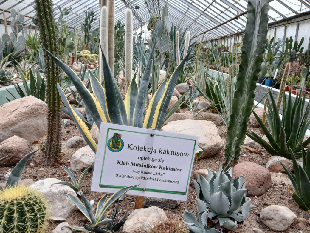Spacer po ogrodzie botanicznym odbywa się w dniach 18 i 19 stycznia