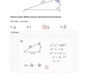 Matura 2026 matematyka: Arkusze CKE i odpowiedzi - sprawdź, czy zdałeś!