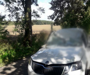 Drzewo spadło na samochód. 59-letni kierowca nie żyje
