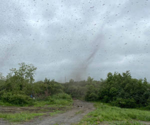 Szok! Tornado z komarów. Inwazja jakiej jeszcze nie było