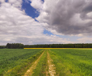 Pogoda na wtorek. Poniżej zera, przelotny deszcz i porywisty wiatr