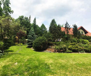 Adam Małysz apartamenty