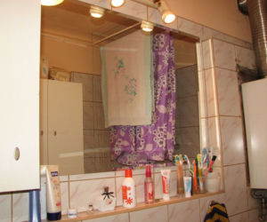 Zdjęcie 7353
