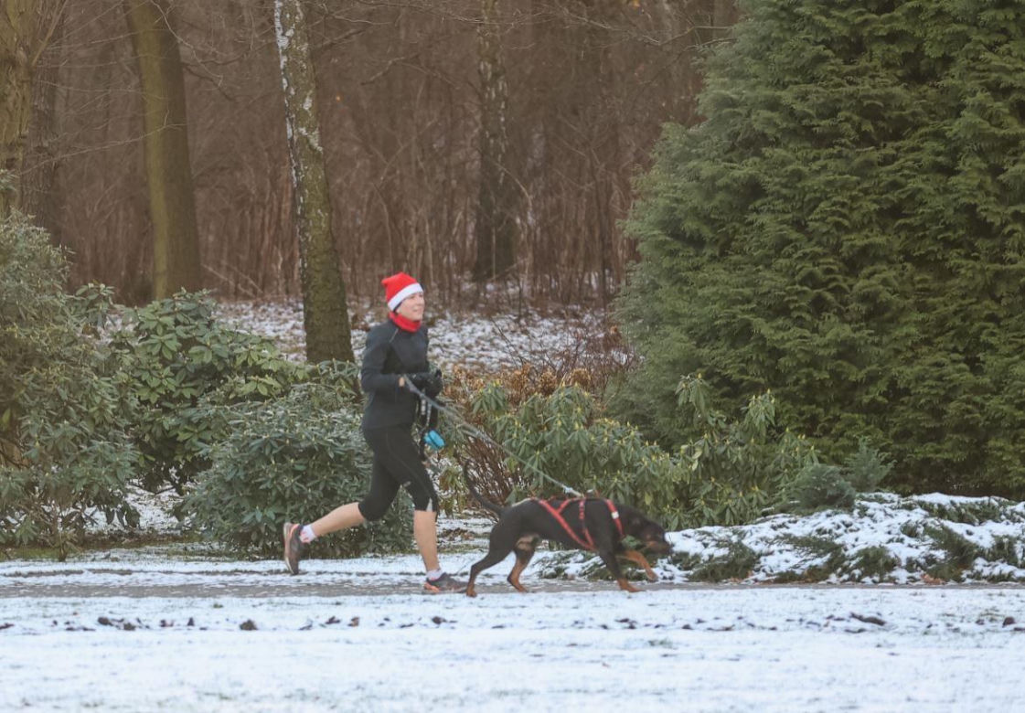 Parkrun Katowice w Parku Kościuszki