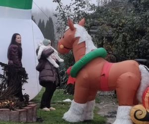 Florian Martyniuk. Syn Daniela wybrał choinkę i czeka na tatę