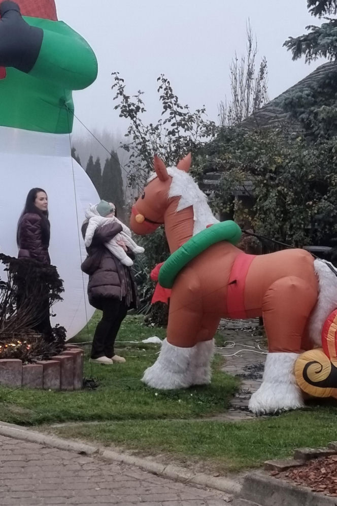 Florian Martyniuk. Syn Daniela wybrał choinkę i czeka na tatę