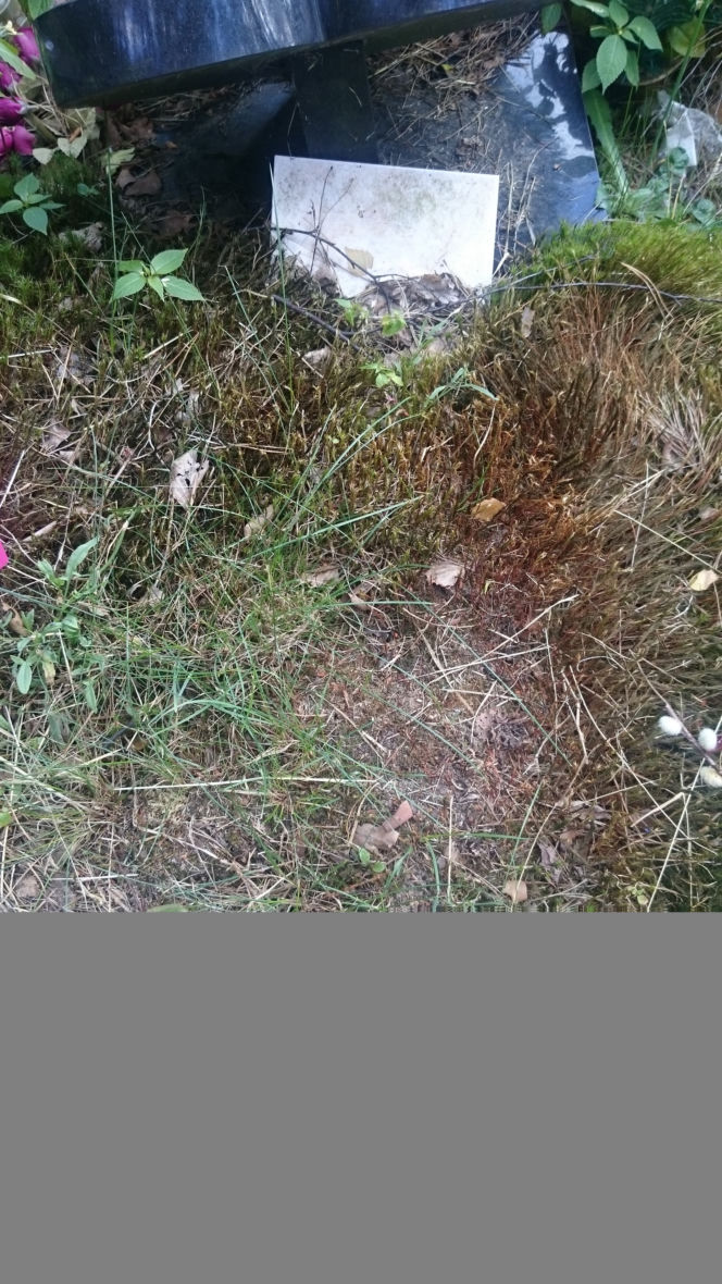 KOTULANKA ZAPOMNIAŁA O PUPILU.