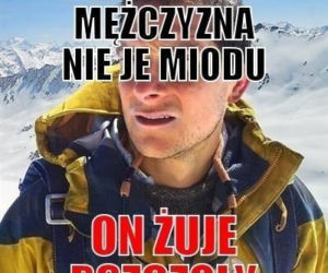 Memy na Dzień Mężczyzn 2021: Tak prawdziwe, że aż zabawne!