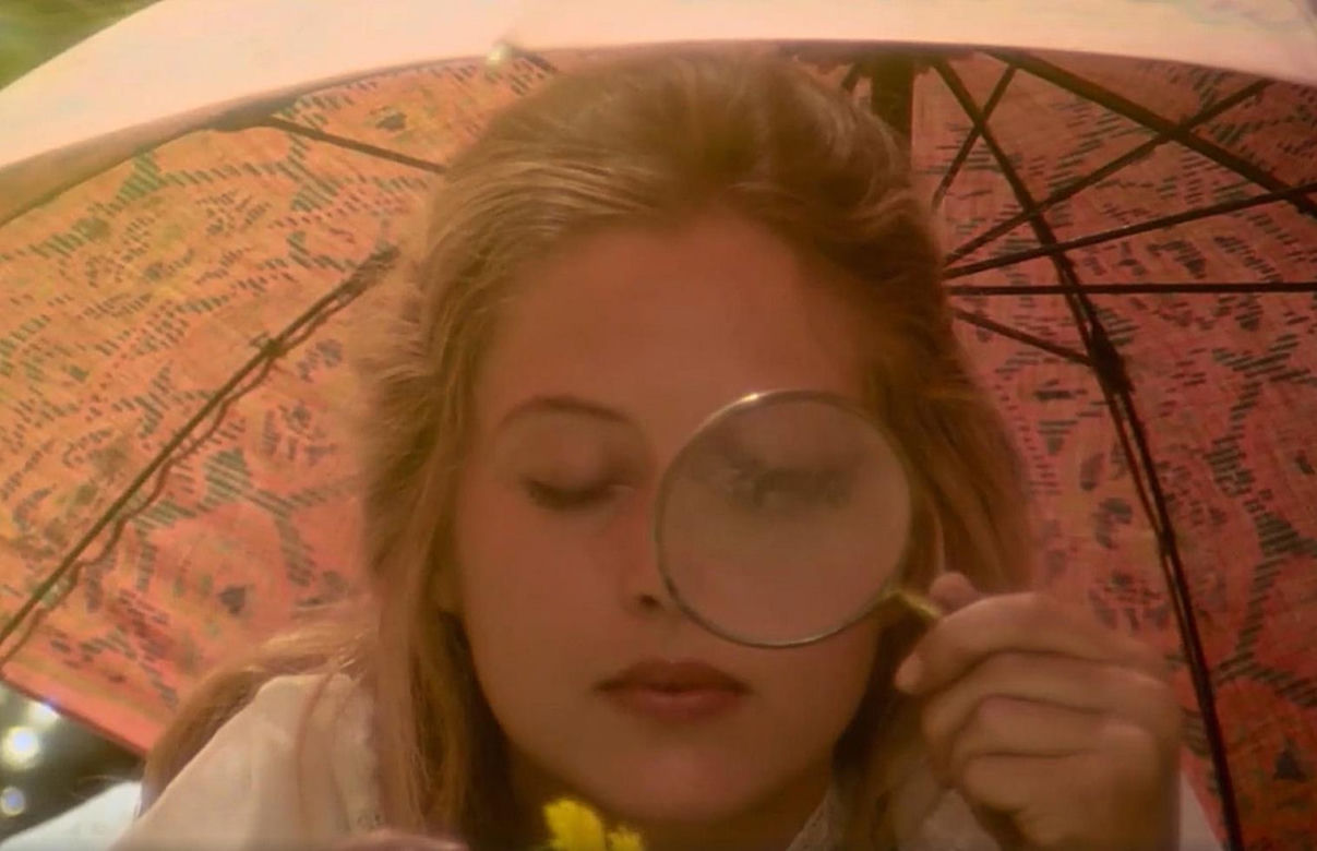 Piknik pod Wiszącą Skałą w reż. Petera Weira