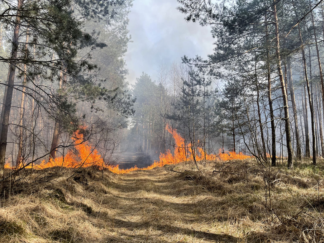  Wielki pożar pod Warszawą. Brakuje sił i środków