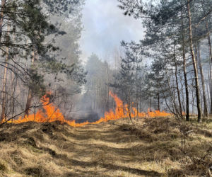  Wielki pożar pod Warszawą. Brakuje sił i środków