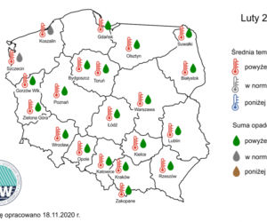 Jaka będzie zima 2020/2021? Czy spadnie śnieg? Prognozy są miażdżące. WAŻNY komunikat [PROGNOZA POGODY, MAPY, MIASTA, WOJEWÓDZTWA]