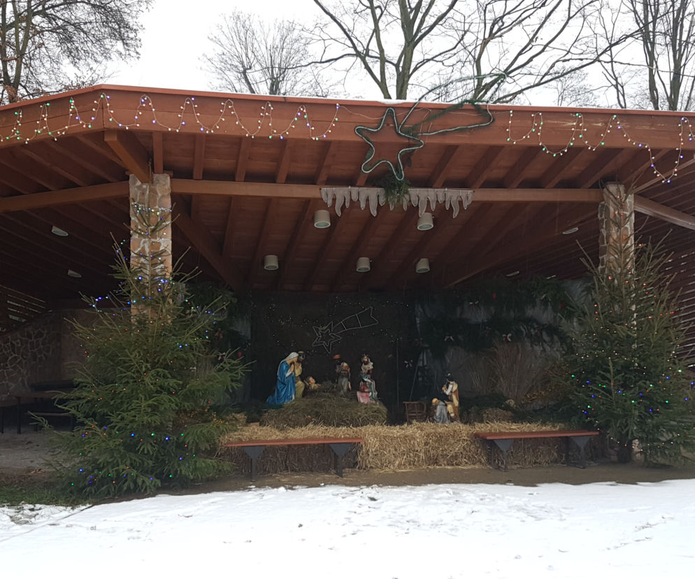 ZOO Toruń zaprasza!