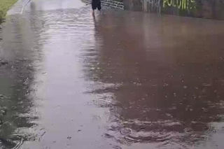 Ulewy paraliżują Śląsk. Zalane ulice, powalone drzewa i dziesiątki interwencji strażaków