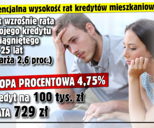 Raty kredytów