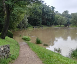 Zalany park w Skawinie