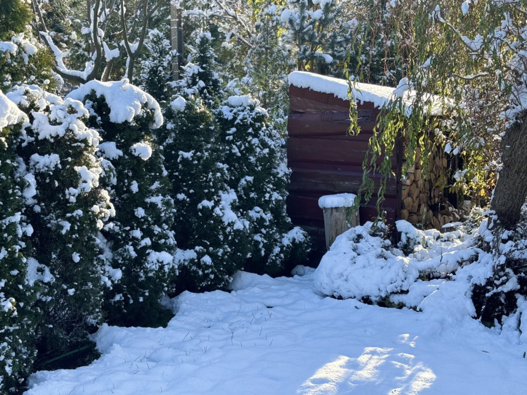 Atak zimy w Śląskiem. Rybnik
