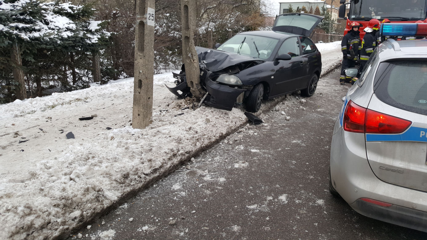 Białystok. Wypadek na Wiewiórczej. Seat uderzył w słup