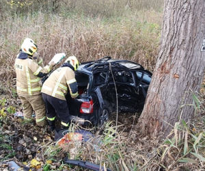 Audi wylądowało na drzewie