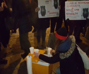 Protest w Bydgoszczy