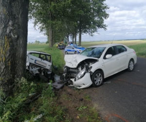 Wypadek w gminie Płośnica