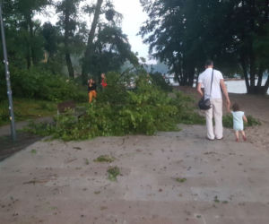 Gwałtowna burza nad Olsztynem - połamane drzewa