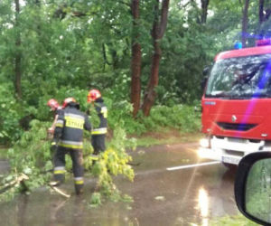 Burza nad Śląskiem zbiera żniwo. Połamane drzewa i braki w dostawie prądu [ZDJĘCIA, WIDEO]