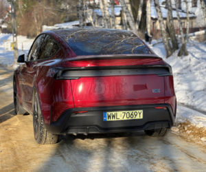 Model Y (Performance)