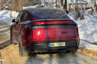 Model Y (Performance)