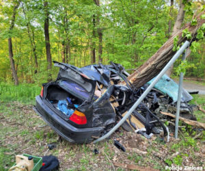 BMW owinęło się wokół drzewa. Koszmarny wypadek w Zielonej Górze
