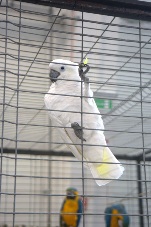 ZOOPARK 2019 w Lublinie. Wystawa pełna niezwykłości. Zobacz zdjęcia!