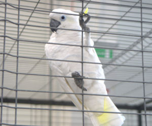 ZOOPARK 2019 w Lublinie. Wystawa pełna niezwykłości. Zobacz zdjęcia!