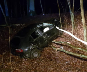 Kierowca z drogi i wjechał do rowu. Potrzebna była interwencja straży pożarnej