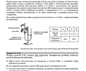 Matura 2019 biologia - poziom rozszerzony