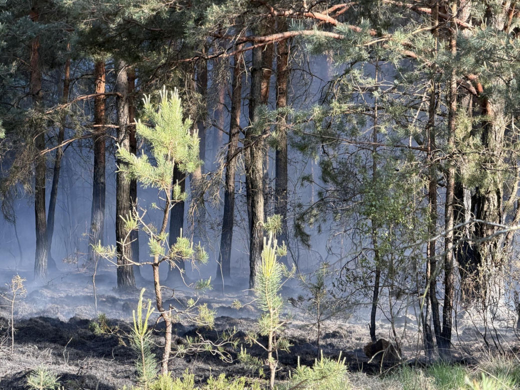 Strażacy walczą z potężnym pożarem na Mazowszu