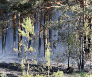 Strażacy walczą z potężnym pożarem na Mazowszu