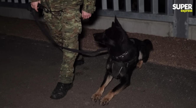 Karolina Pajączkowska na granicy polsko-białoruskiej