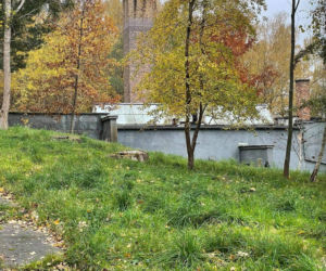 Pacjent popełnił samobójstwo w psychiatryku