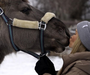 Joanna Krupa odwiedza schronisko dla zwierząt