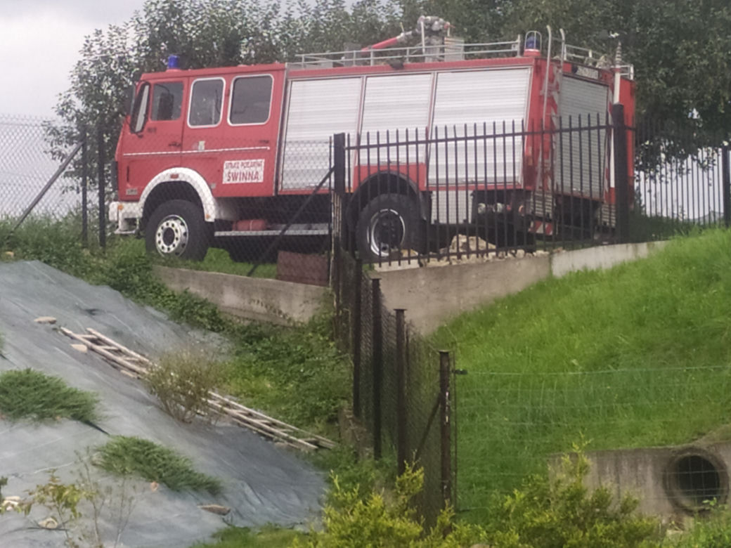 Parada miśków