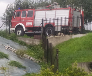Parada miśków