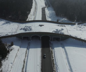 Obwodnica Wąchocka (luty 2026)