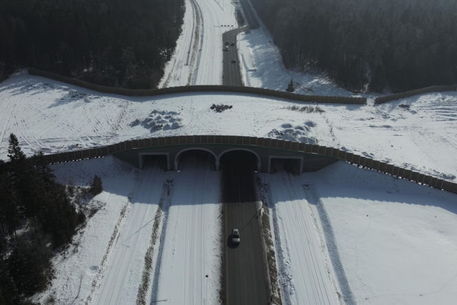 Obwodnica Wąchocka (luty 2026)